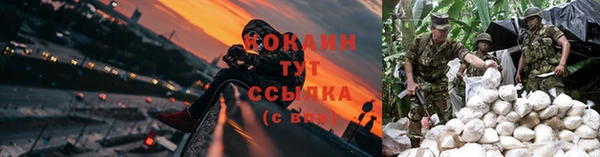 СК Дмитровск