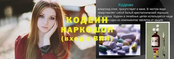 СК Дмитровск