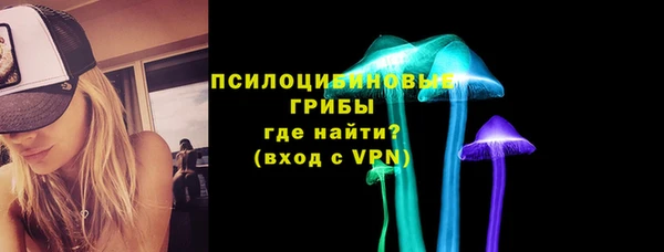a pvp Дмитров