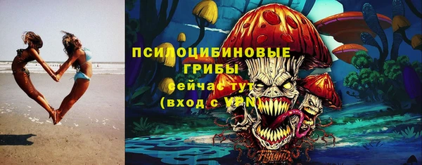 СК Дмитровск